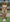Mint skort set
